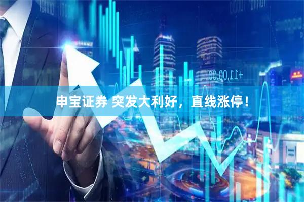 申宝证券 突发大利好，直线涨停！