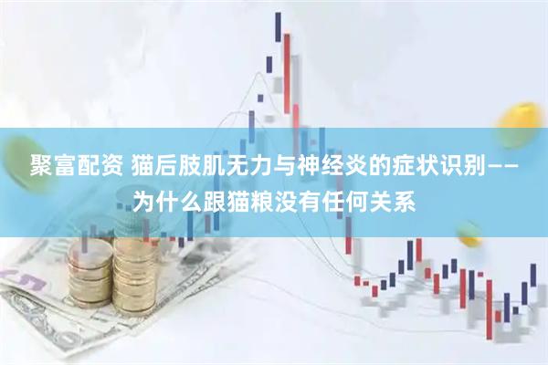 聚富配资 猫后肢肌无力与神经炎的症状识别——为什么跟猫粮没有任何关系