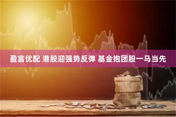盈富优配 港股迎强势反弹 基金抱团股一马当先